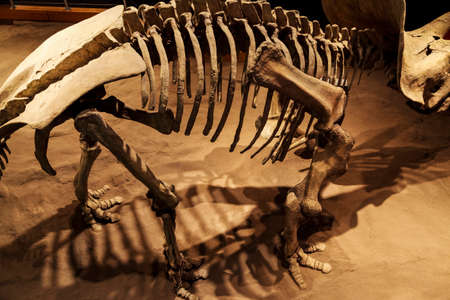 Drumheller, Canada - Mar 27 2019: Visitors flock to the dinosaur exhibits at the entrance of the Royal Tyrrell Museum . The museum is famous for its paleontology research and 130,000 fossils.のeditorial素材
