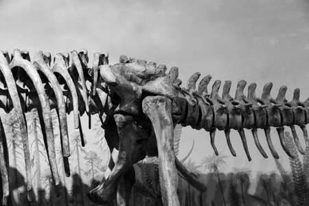 Drumheller, Canada - Mar 27 2019: Visitors flock to the dinosaur exhibits at the entrance of the Royal Tyrrell Museum . The museum is famous for its paleontology research and 130,000 fossils.のeditorial素材