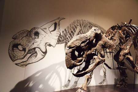 Drumheller, Canada - Mar 27 2019: Visitors flock to the dinosaur exhibits at the entrance of the Royal Tyrrell Museum . The museum is famous for its paleontology research and 130,000 fossils.のeditorial素材