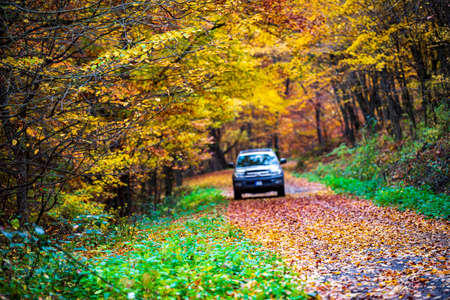 Hungary BÃ¶rzsÃ¶ny Mountain Range Nov 1 2020: Toyota 4runner 4x4 SUV on forestry road at autumn in mountains. Mountain trail landscape. Adventure travel. BÃ¶rzsÃ¶ny mountains, gorges and mountain pass.のeditorial素材