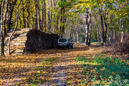 Hungary Central Mountain Range Sept. 23, 2020: Toyota 4Runner SUV touring along on the forestry tracks and local hunting grounds.のeditorial素材