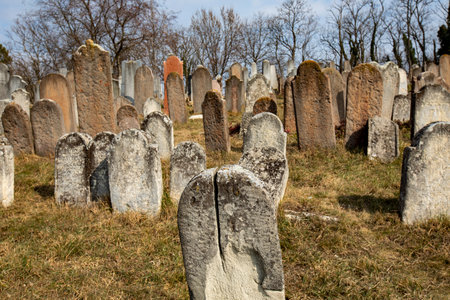 Jewish headstones in a ancient Jewish graveyard - dating back to the 1700's
