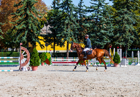 BÃ¡bolna Hungary Jun. 11, 2020:  World class Equestrian Sports, Horse jumping, Show Jumping, Horse Riding themed photoのeditorial素材