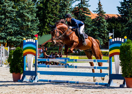 BÃ¡bolna Hungary Jun. 11, 2020:  World class Equestrian Sports, Horse jumping, Show Jumping, Horse Riding themed photoのeditorial素材