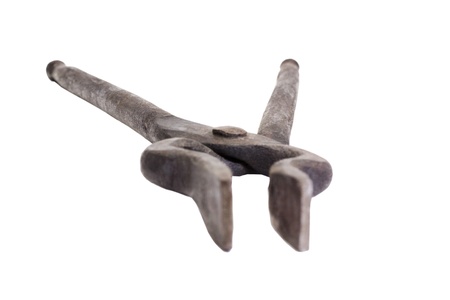 Close-up of a tong pakkadの写真素材