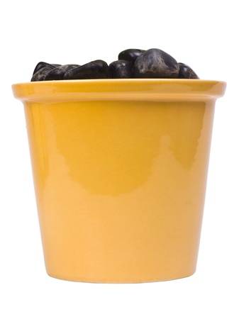 Close-up of a potted plantの写真素材