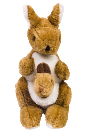 Close-up of stuffed kangaroo toysの写真素材