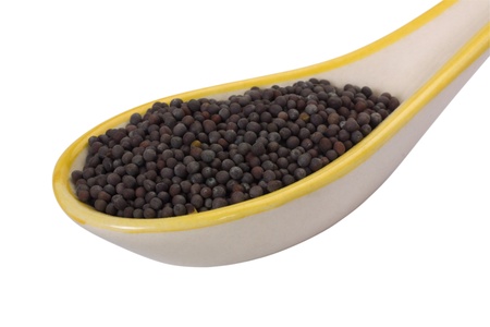 Close-up of black mustard seeds in a spoonの写真素材
