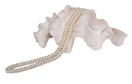 Close-up of a pearl necklace on a seashellの写真素材