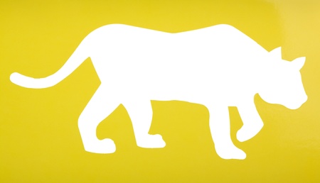 Silhouette of a tigerの写真素材