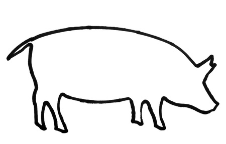 Outline of a pigの写真素材