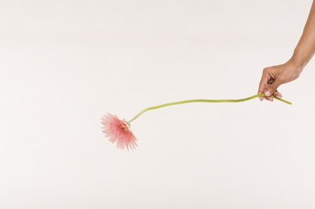 Woman holding a daisy flowerの写真素材