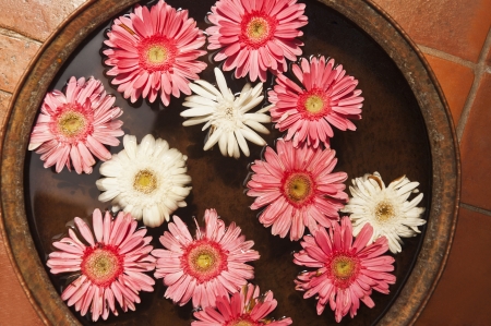 Flowers in a bowl, Nepalの写真素材