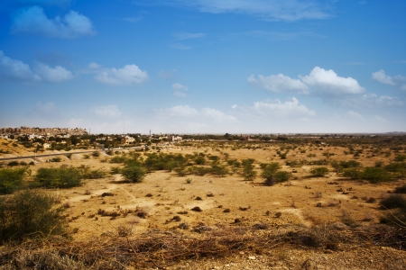 Bush growing at arid landscape with town in background, Jaisalmer, Rajasthan, Indiaの写真素材