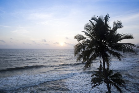 Palm trees on the beach, Varkala, Kerala, India, Asiaの写真素材