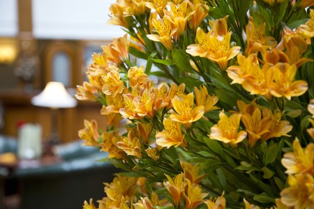 Close-up of flowers in a hotel room, Shimla, Himachal Pradesh, Indiaの写真素材