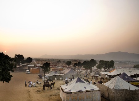 Tents for temporary shelter at Pushkar Camel Fair, Pushkar, Ajmer, Rajasthan, India