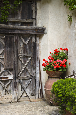 Potted plants outside a building, Ravello, Amalfi Coast, Salerno, Campania, Italyの写真素材