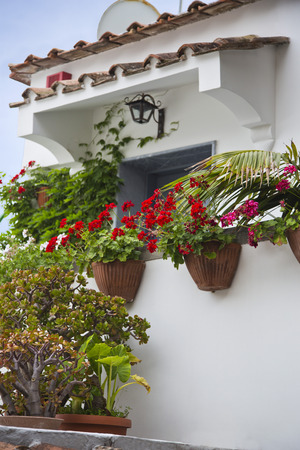Potted plants in front of a building, Ravello, Amalfi Coast, Salerno, Campania, Italyの写真素材