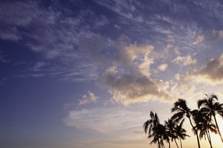 Skyの写真素材