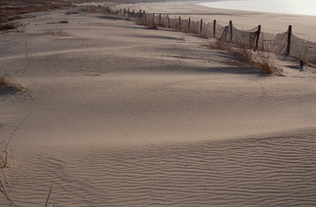 Desertの写真素材