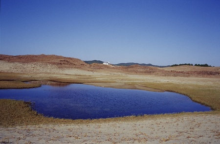 Nature sceneの写真素材