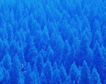 Nature sceneの写真素材