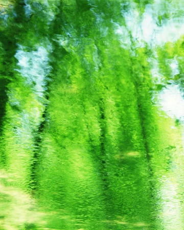 Nature sceneの写真素材