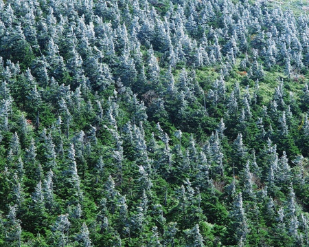 Snowscapeの写真素材