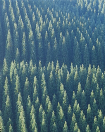 Nature sceneの写真素材