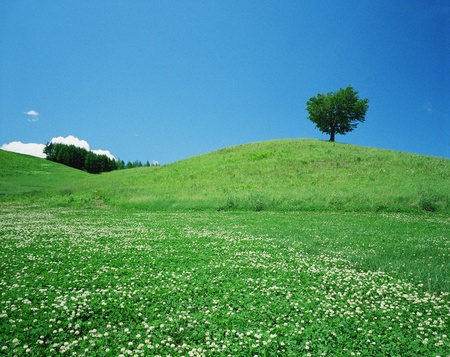 Nature sceneの写真素材