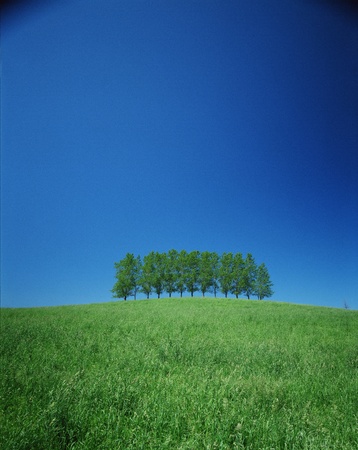 Nature sceneの写真素材