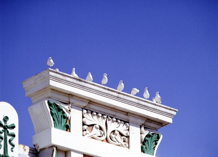 Birds on the archの写真素材