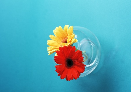 Flowerの写真素材