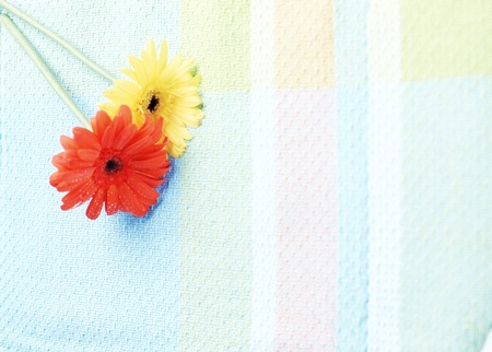 Flowerの写真素材