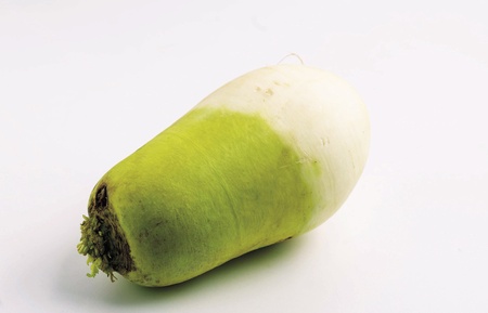 Radishの写真素材