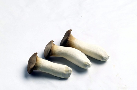 Vegetableの写真素材