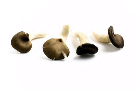 Vegetableの写真素材