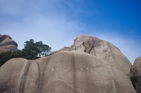 Nature Viewの写真素材