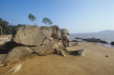 Nature Viewの写真素材