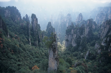 Tianzi Mountain,Wulingyuan,Hunan Province,Chinaの写真素材