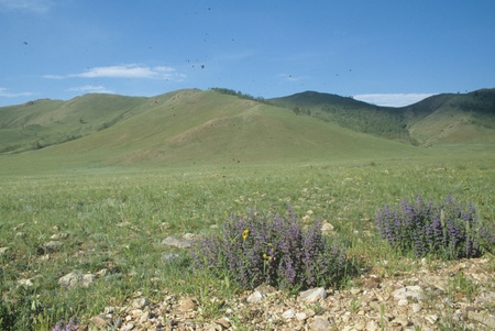 Inner Mongolia,Chinaの写真素材