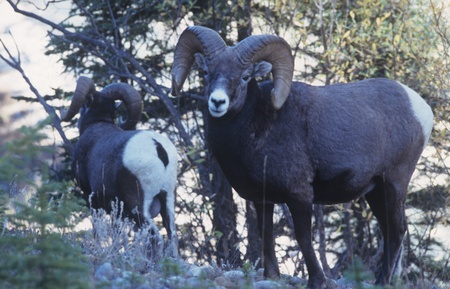 Sheetの写真素材