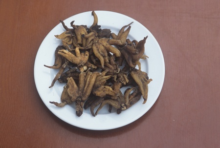 Xining,Qinghai Province,Chinaの写真素材