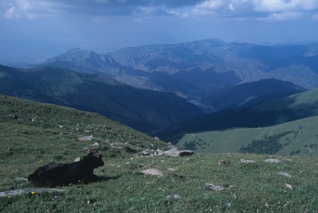 Xinzhou,Shanxi Province,Chinaの写真素材