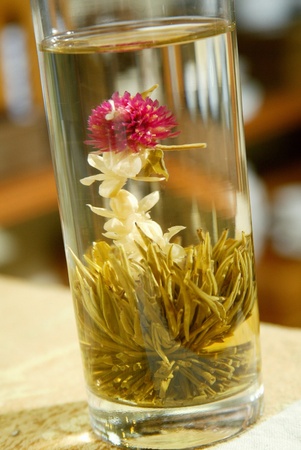 Teaの写真素材