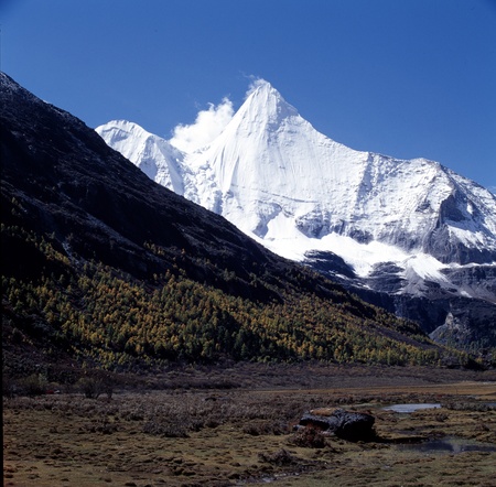 Snowcapped