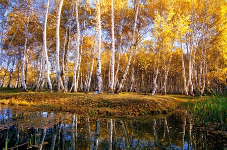 Kanasiの写真素材