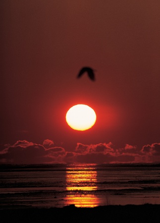 Landscapeの写真素材