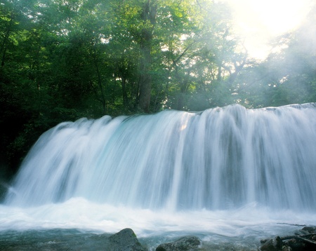 Nature sceneの写真素材